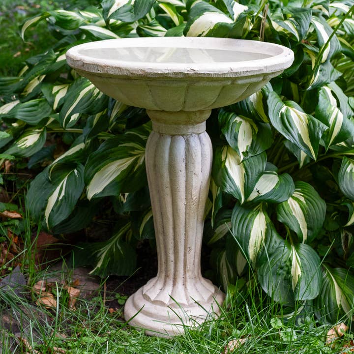 Grecian Reinforced Concrete Bird Bath - 16 in - White for wholesale by Sunnydaze Decor