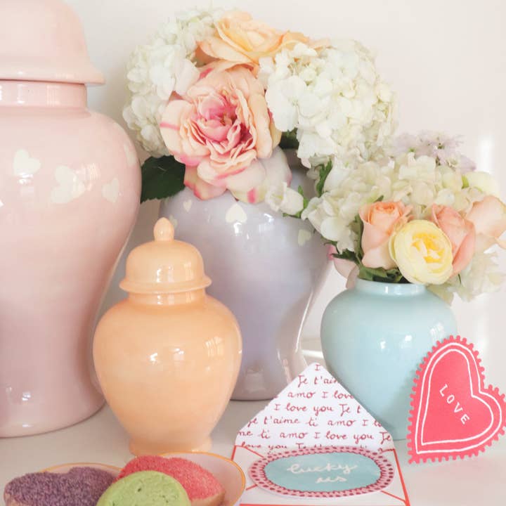 Lo Home | Ruby Clay - Wholesale Decorative Jar - Robin's Egg Blue Ginger Jars5