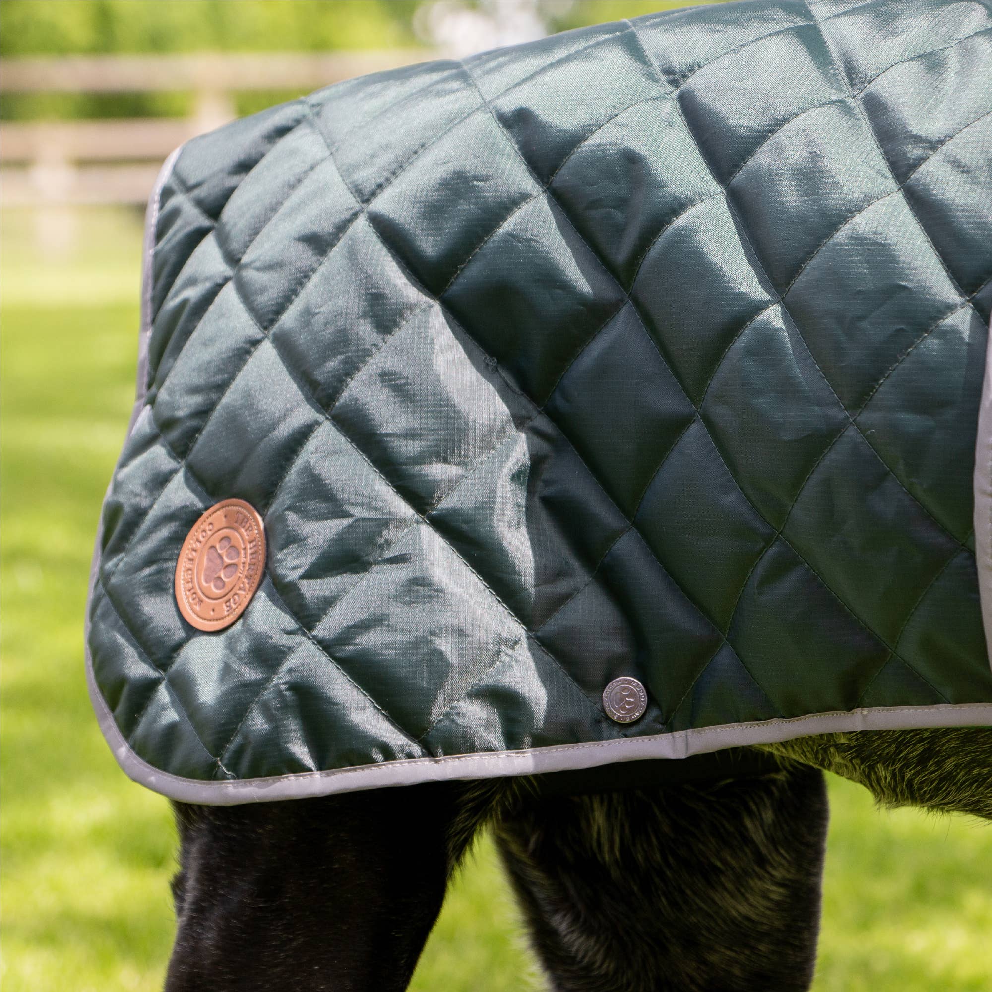 Ancol Pet Products Ltd - Wholesale Pet Coat - Dog - Heritage Green  Quilt Dog Coat XS-XXL 4