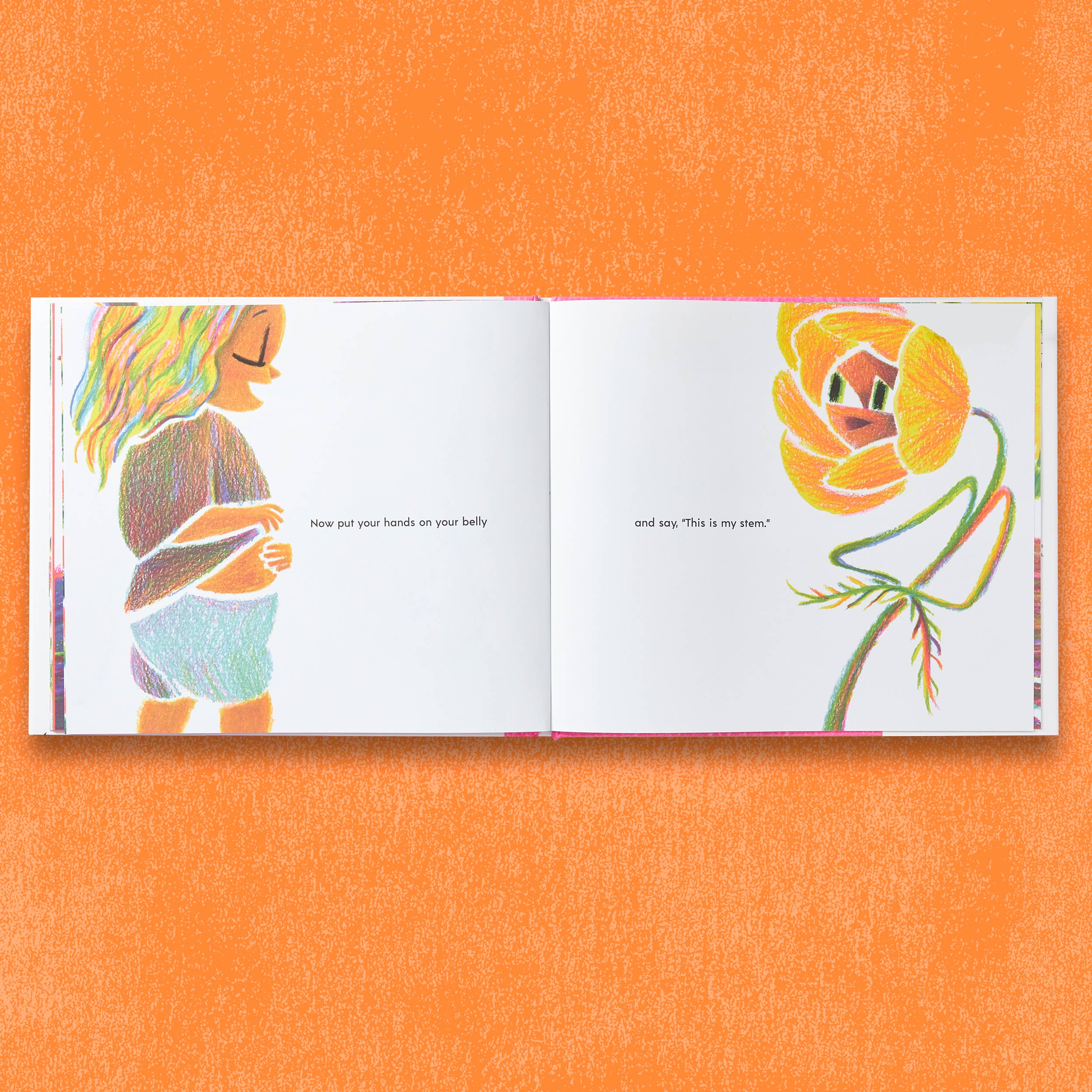Chronicle Books - Wholesale Preschool Book (3-5) - Have You Ever Seen a Flower?13