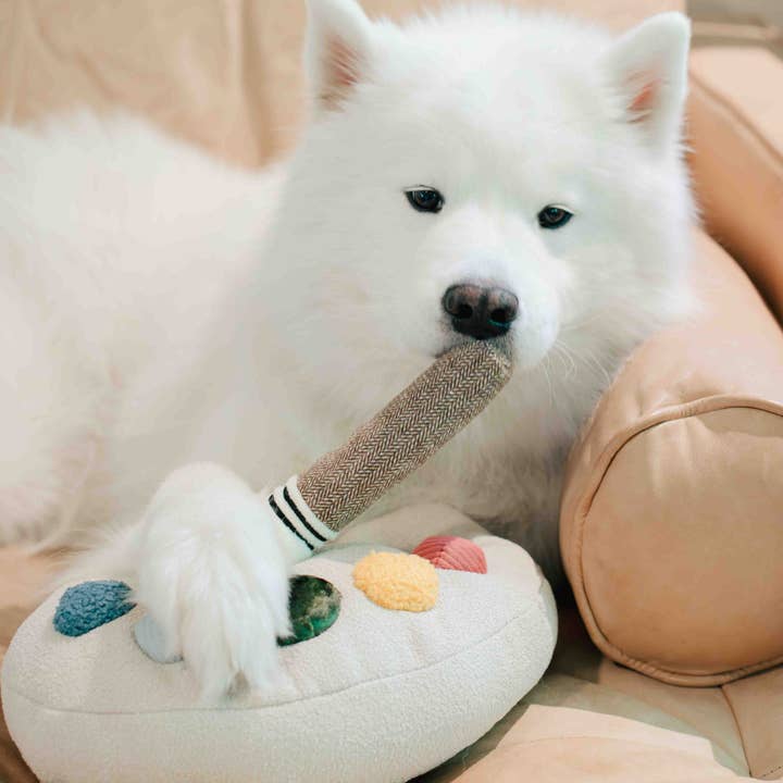 Lambwolf Collective – Engroshandel Legetøjssæt - Hund – Color Palette-sæt // ENRICHMENT legetøj til hunde5