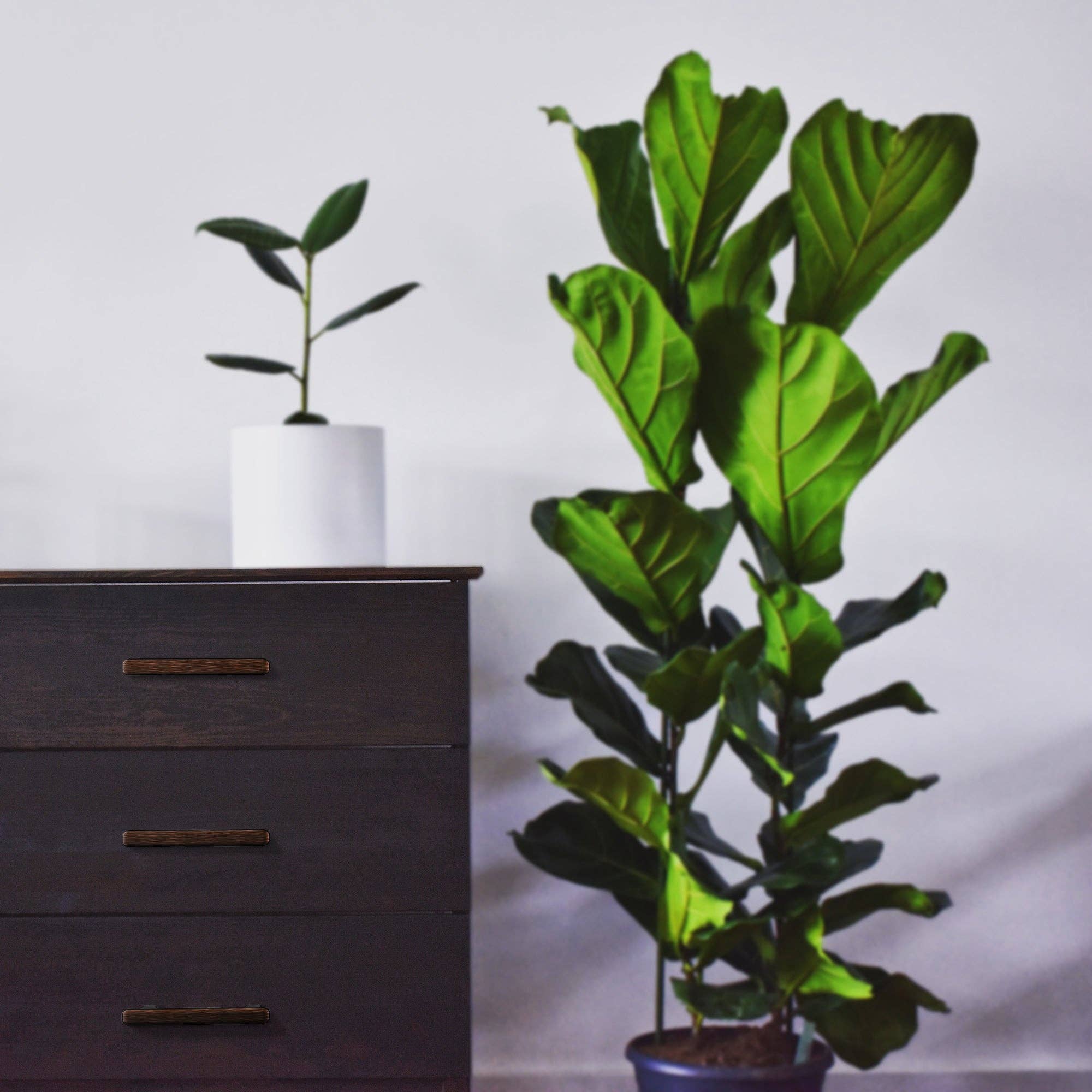 Island Universe Hardware Inc. - Venta al por mayor Pomos/tiradores - Tirador de Barra Plana con Borde Curvo Moderno17