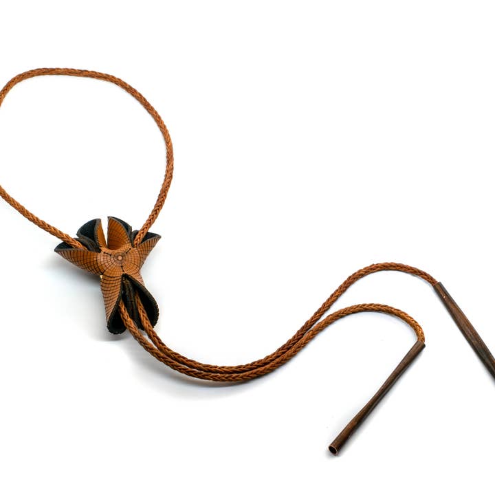 Yucca Bolo pour la vente par Oropopo