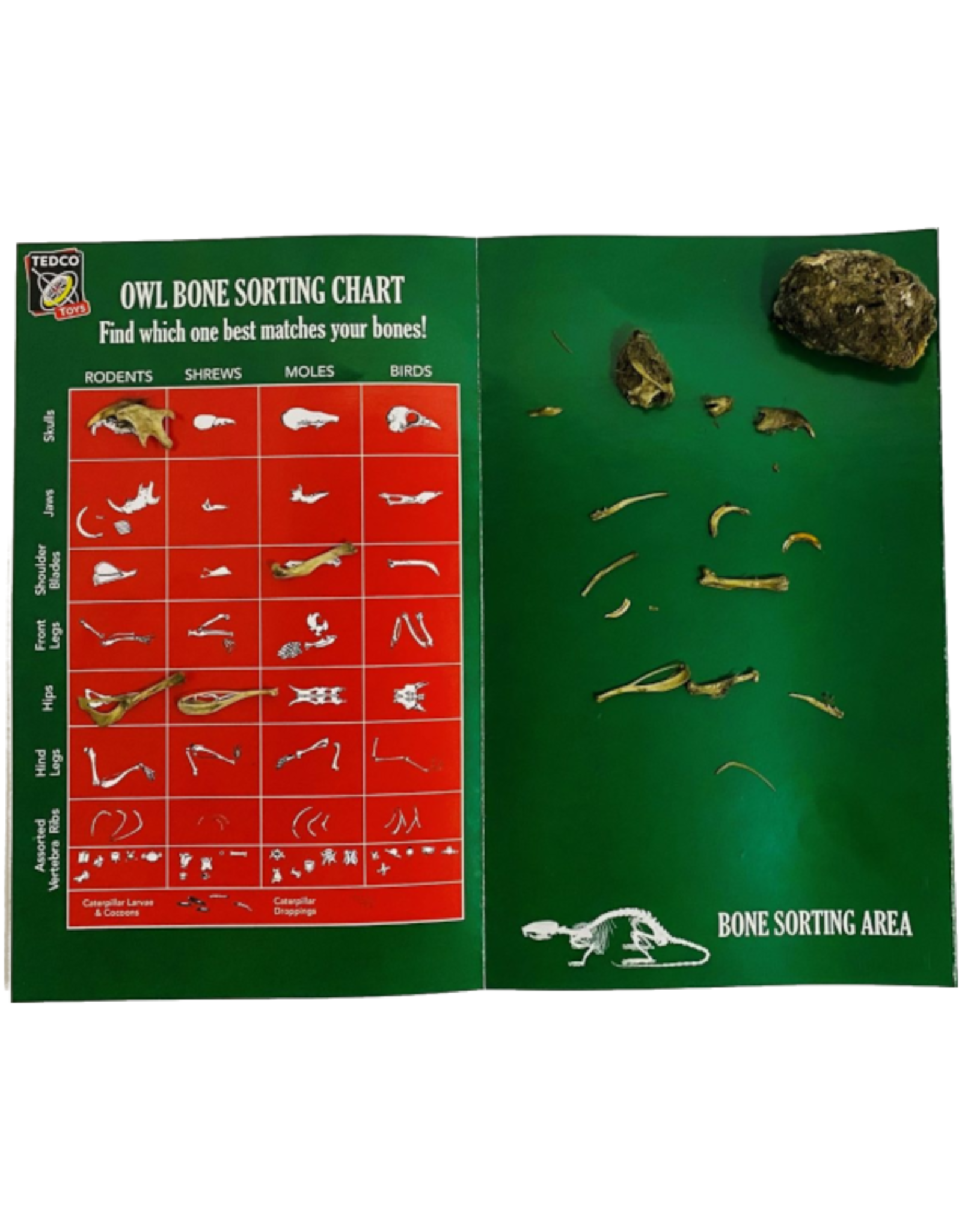 TEDCO Toys - Wholesale Toy Set - Kids - Owl Puke1