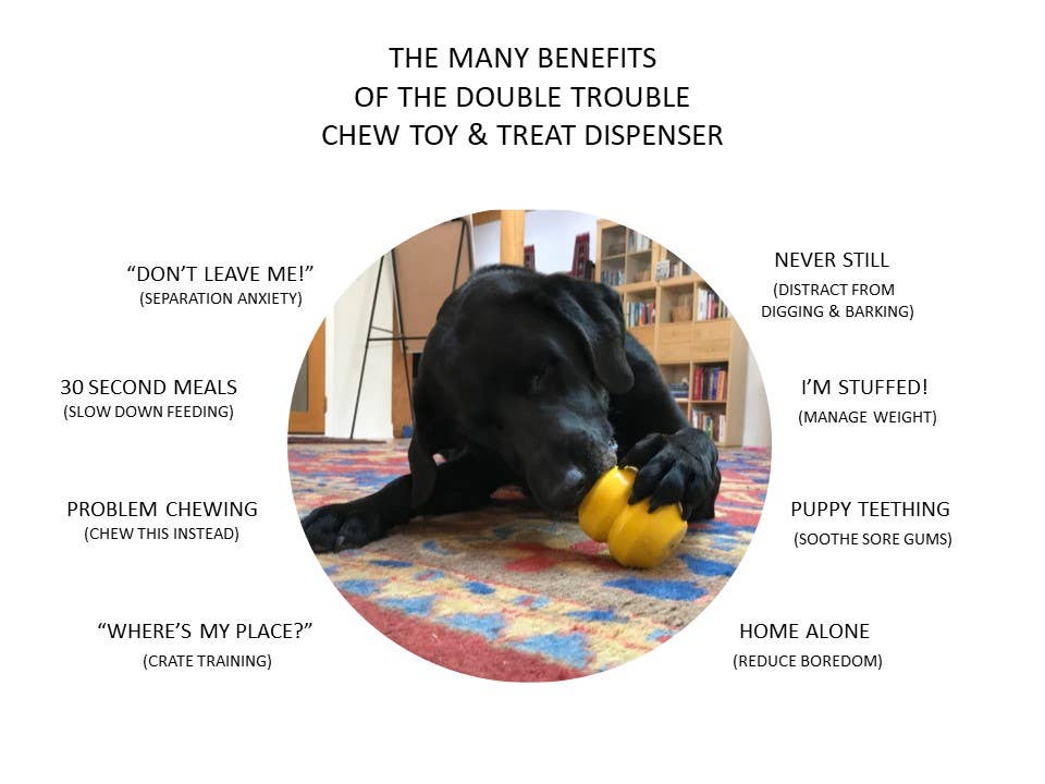 Blue DoubleTrouble- Chew Toy - Treat Dispenser - Large for wholesale on Faire4