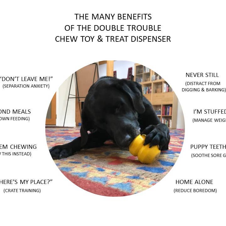 Blue DoubleTrouble- Chew Toy - Treat Dispenser - Large for wholesale on Faire4