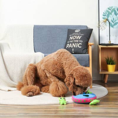 Hugsmart Products Inc - Wholesale Pet Plush Toy - Dog - HugSmart Pet - Space Paws | Aliens - Interactive Toy