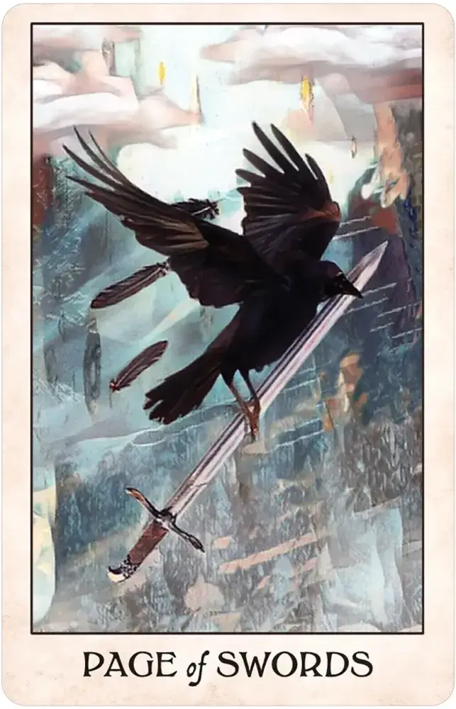 U.S. Games Systems Inc. - Wholesale Tarot Cards - Crow Tarot Pocket Edition6