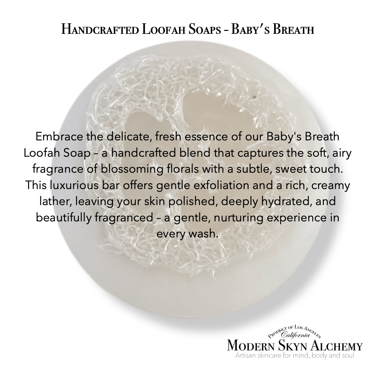 Modern Skyn Alchemy LLC. - Wholesale Bar Soap - Baby's Breath Loofah Soap3