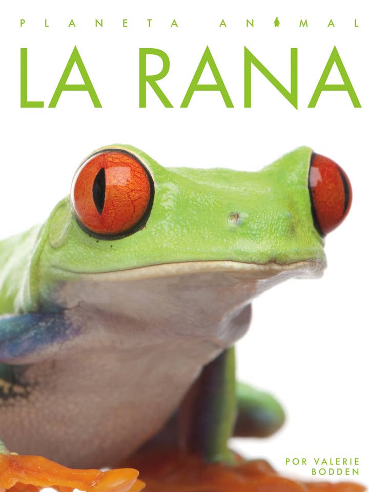 La rana for wholesale by The Creative Company