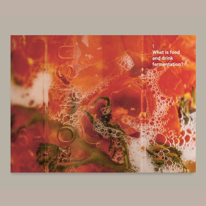 Do Books - Wholesale Cookbooks & Food - Do Ferment, Guide to Making Kimchi, Kefir and More1