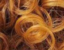 Majestic Wholesale - Wholesale Hair Extensions - Freetress Synthetic Pre Looped Crochet Braid 3X BONA LOC 24"15