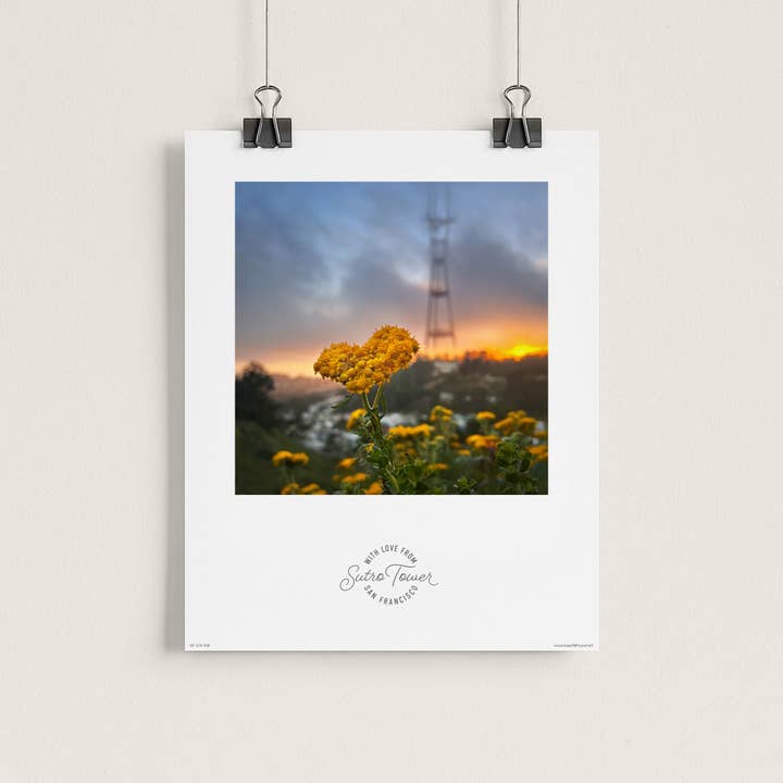8"x10" Print of Golden Yarrow in front of Sutro Tower for wholesale by HeartSFound