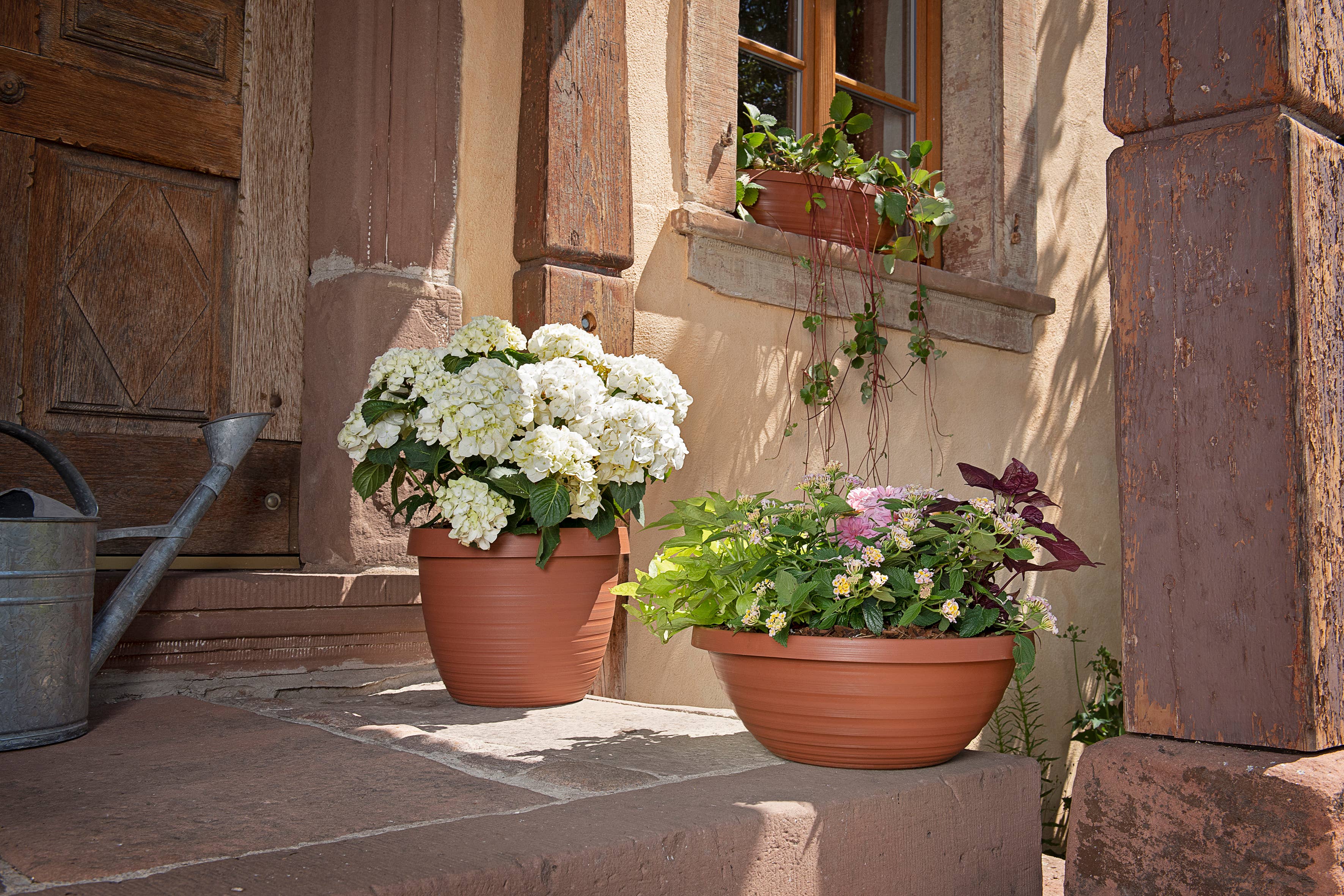 Scheurich - Wholesale Plant Pot - Country Star 270 plastic flower top/planter11