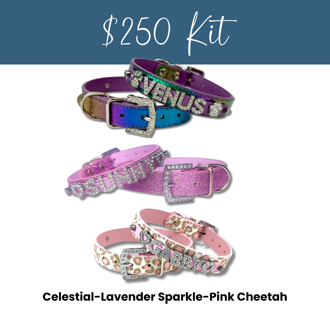 House of FurBaby - Wholesale Pet Collar - Cat/Dog - DIY Pet Collar Bar Kit: Silver Sparkle 280 Pieces $600 Value18