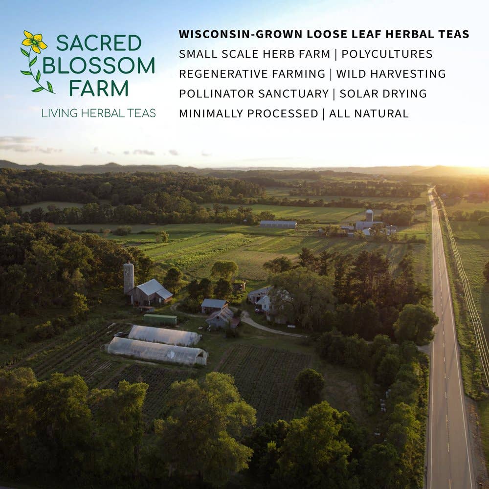 Sacred Blossom Farm - Wholesale Loose Tea - Ashwagandha, 7.6 oz (Withania somnifera)5