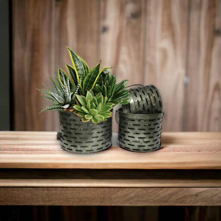 Wilco Home - Wholesale Bucket/pail - Set Of 3 Drop Handle Olive Buckets