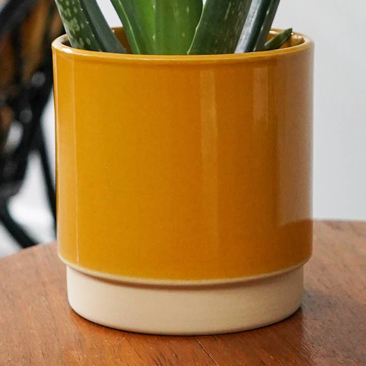 Enos Ceramic Indoor Plant Pot H10.5cm D10cm for wholesale by Ivyline