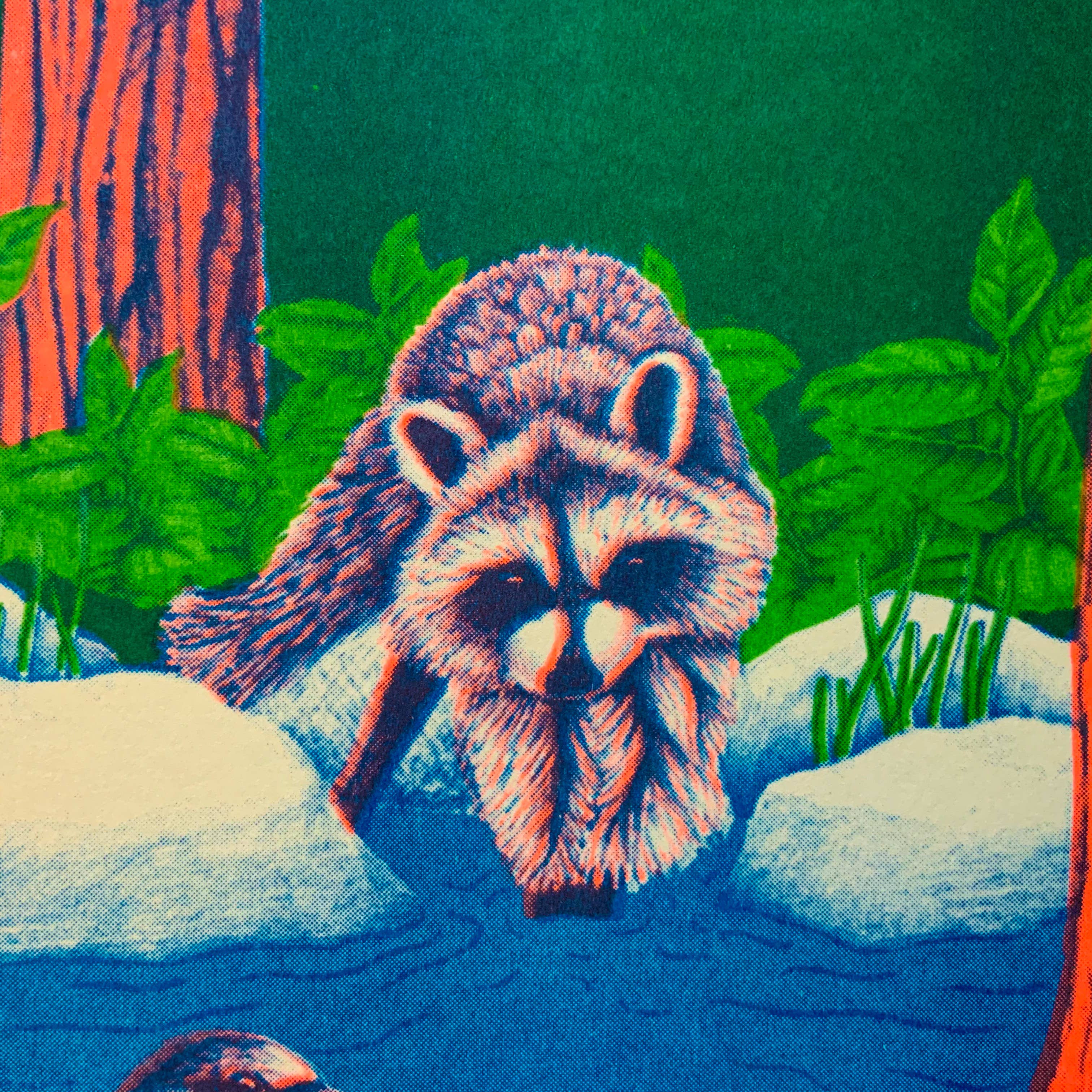 Psychedelic Lens - Wholesale Art Print - PNW Nature Riso Print2