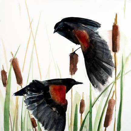 Rødvinget Trupialers Rejse ~ "Sangfugle & Venner" ~ Giclée Tryk for engroshandel hos Holly Wach Art LLC