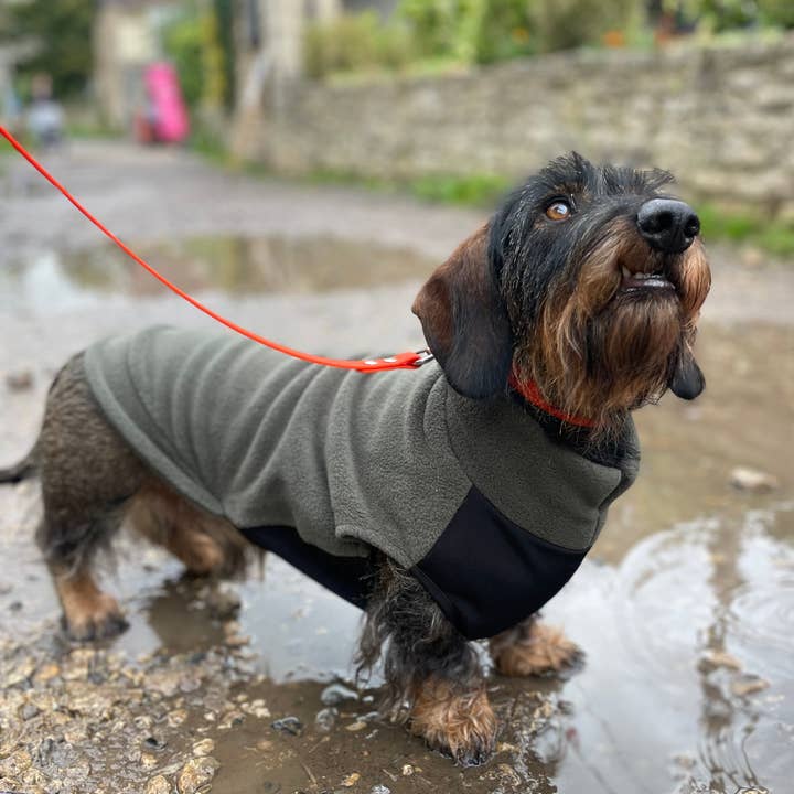 Doghouse - Wholesale Hondentrui - Hond - Standaard teckelfleecetrui met waterdicht buikpaneel