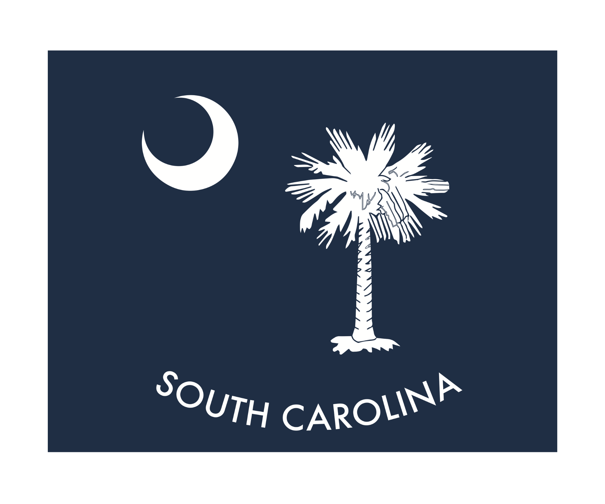 Galleyware - Wholesale Dishcloth - South Carolina Palmetto Swedish Towel0