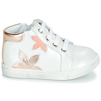   ALEXA for wholesale on Faire1