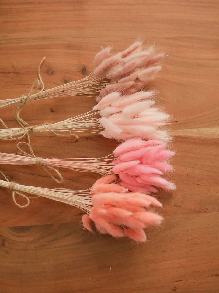 Bunny tails - dekorative bevarede buketter for engroshandel hos Eucalypt Co.