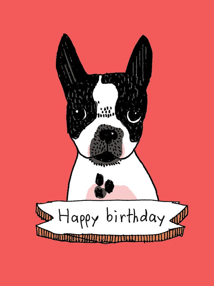 Biglietto di compleanno Boston Terrier per la vendita all'ingrosso da parte di Alli Arnold
