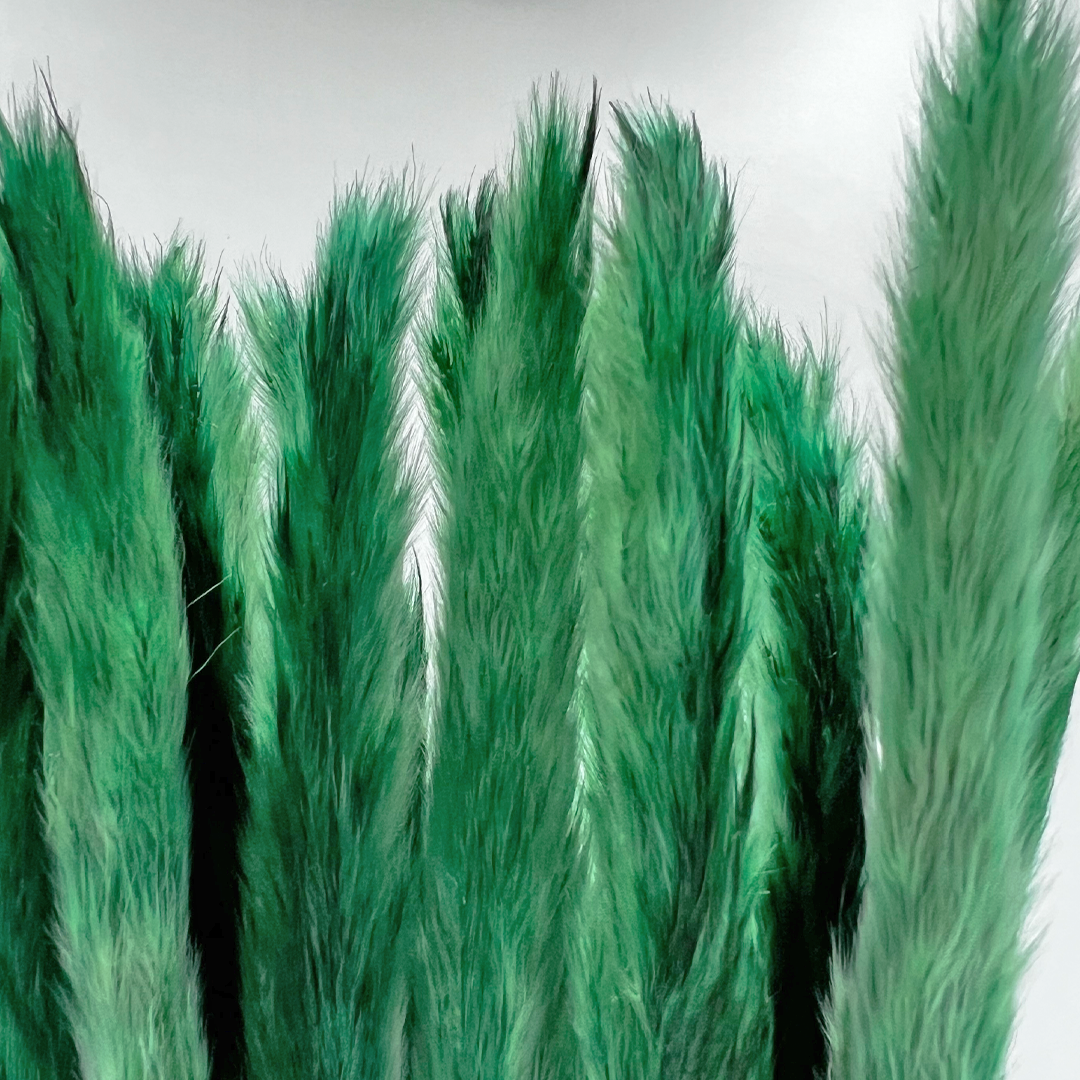 2626 Designs – Engroshandel Tørrede/pressede blomster – Konserverede blomster Lille pampassgræs, 20" langt17