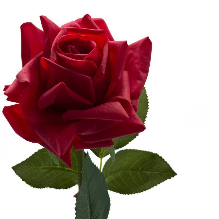JKF & Co Pty Ltd - Wholesale Artificial Flowers - Abby Real Touch Rose Red