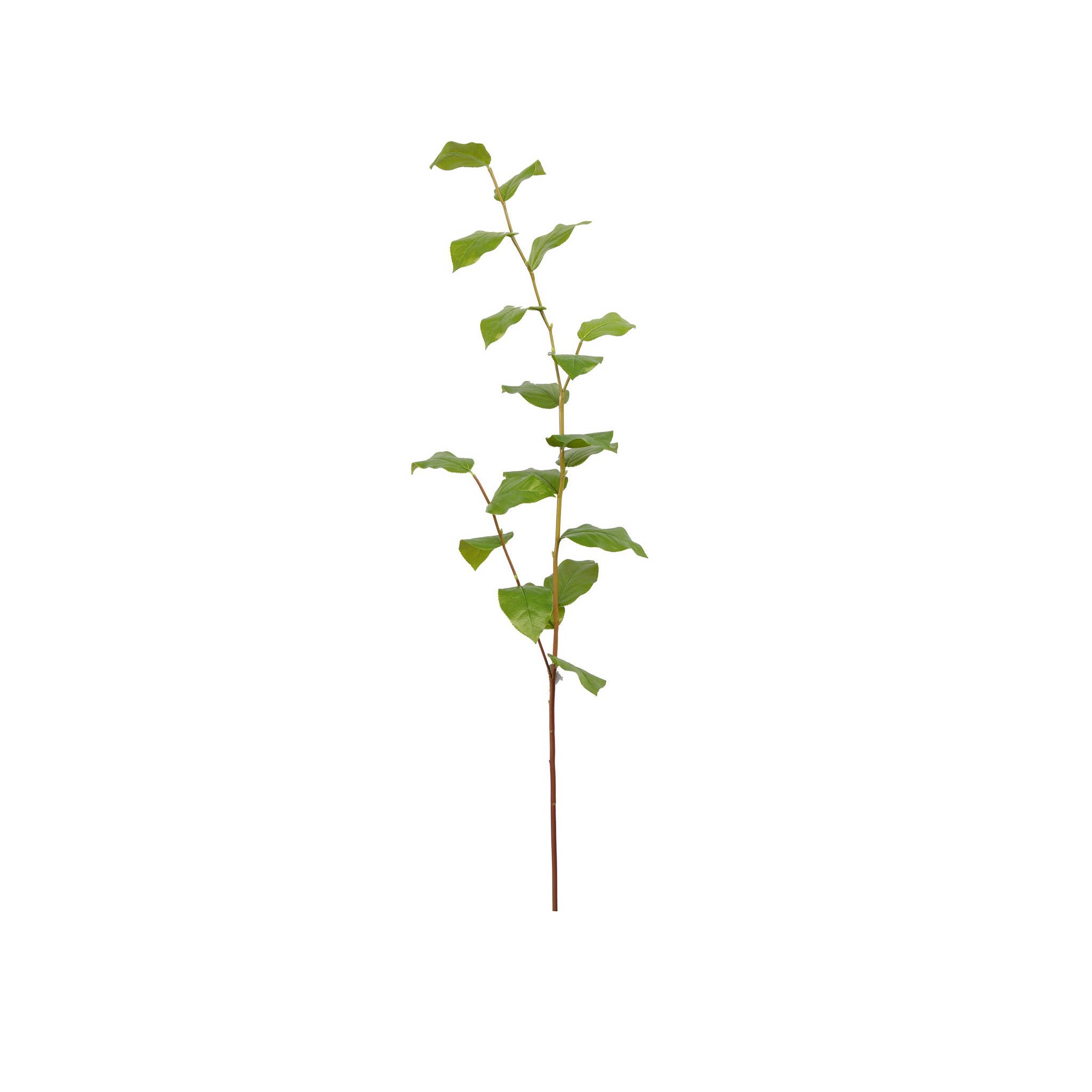 Mills Floral Company - Wholesale Artificial plant - Salal Leaf Branch - 44 Inch1
