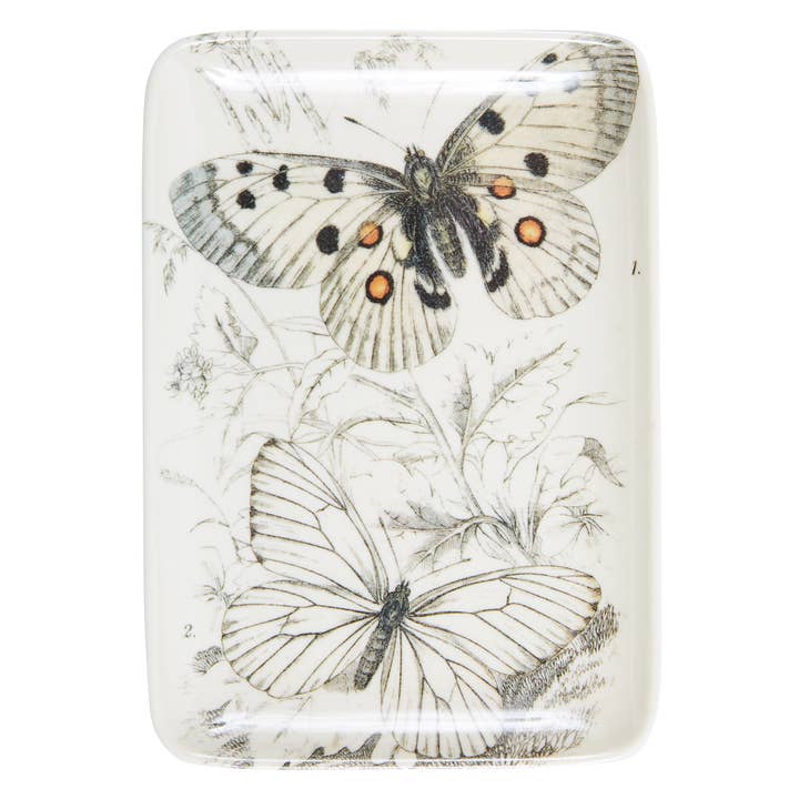 Specimen Etching Valet Tray for wholesale by Siren Song