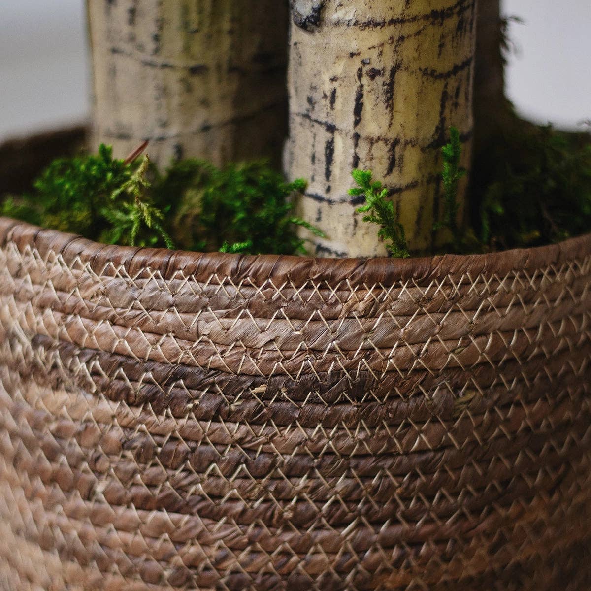 Maia Shop - Wholesale Plant Pot - Gaia Wicker Flowerpot2