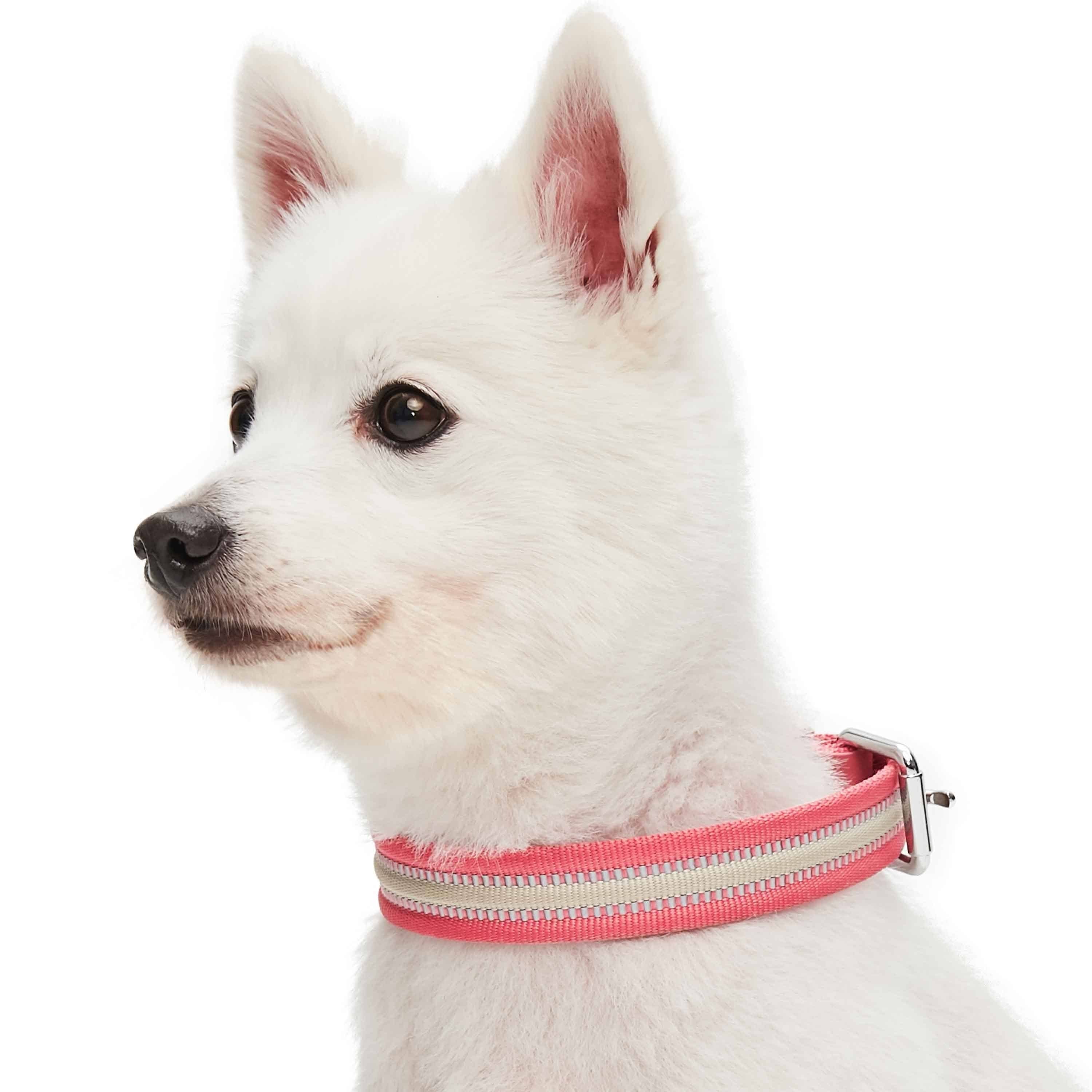 Blueberry Pet – wholesale Halsband - Hund – 3M Reflekterande Randig Hundhalsband – Hållbart & Stilfullt23