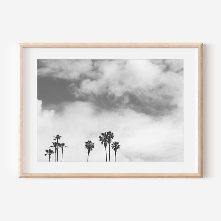 Black and White Palm Trees Print for wholesale by 17 Mile