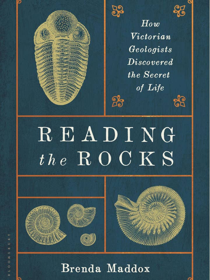Reading The Rocks: Victorian Geologists And Life's Secrets for wholesale by Macmillan Publishers