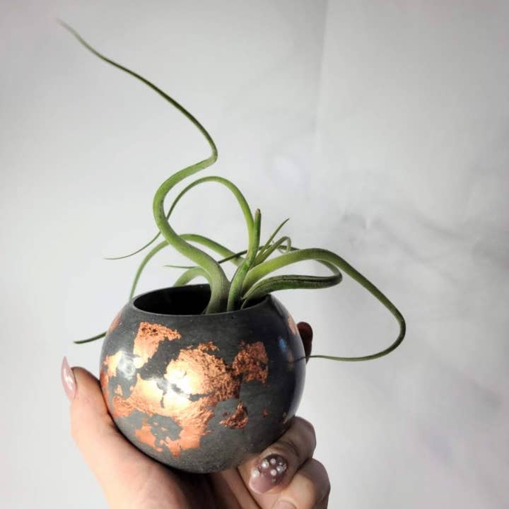 Geoform Designs - Wholesale Plant Pot - Scarlet Round Colored Concrete Planter | Airplant Sphere Pot