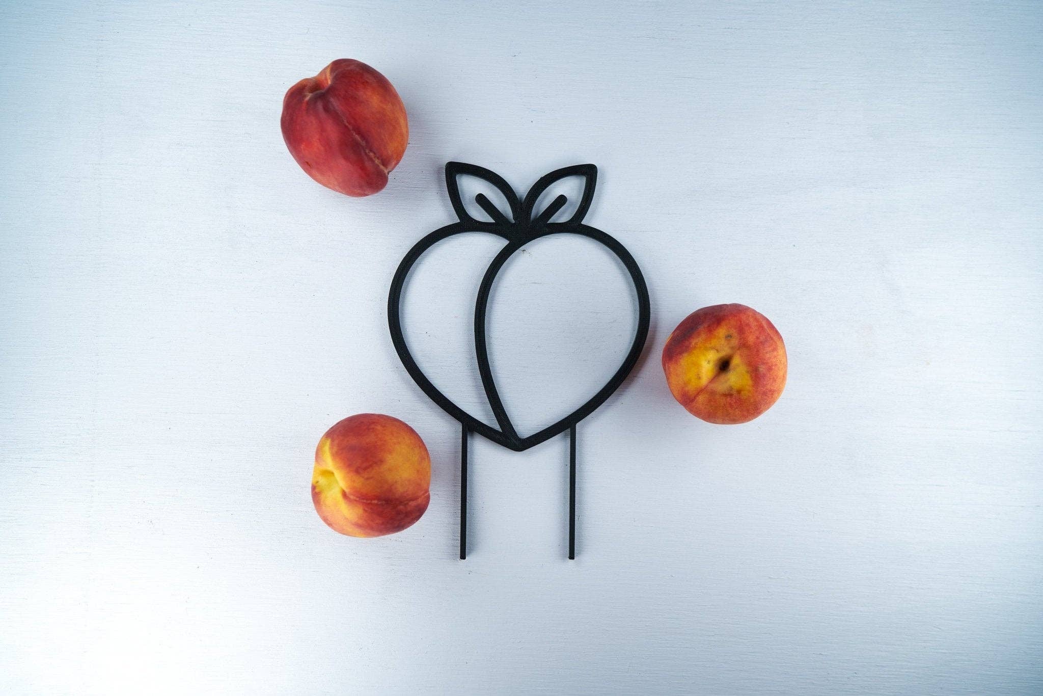 Rosebud Homegoods - Wholesale Trellis - Peach Plant Trellis for Vining Plants4