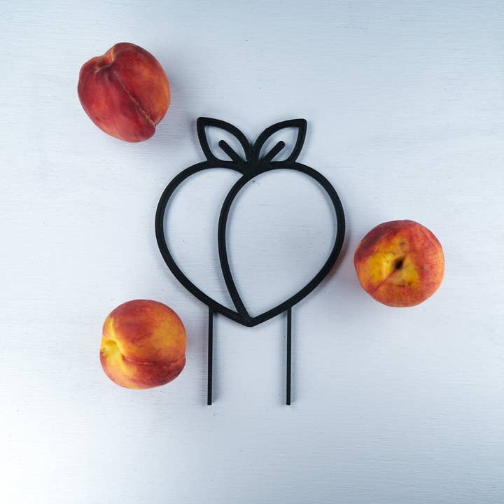 Rosebud Homegoods - Vente Treillis - Tuteur pour plantes grimpantes de pêcher4