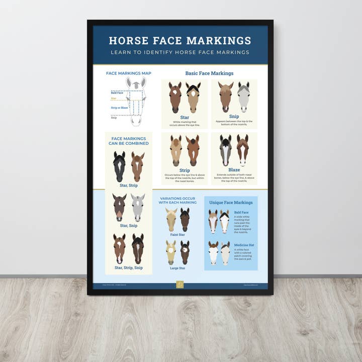 The Pony Island - Wholesale Poster - Horse Face Markings Framed Poster