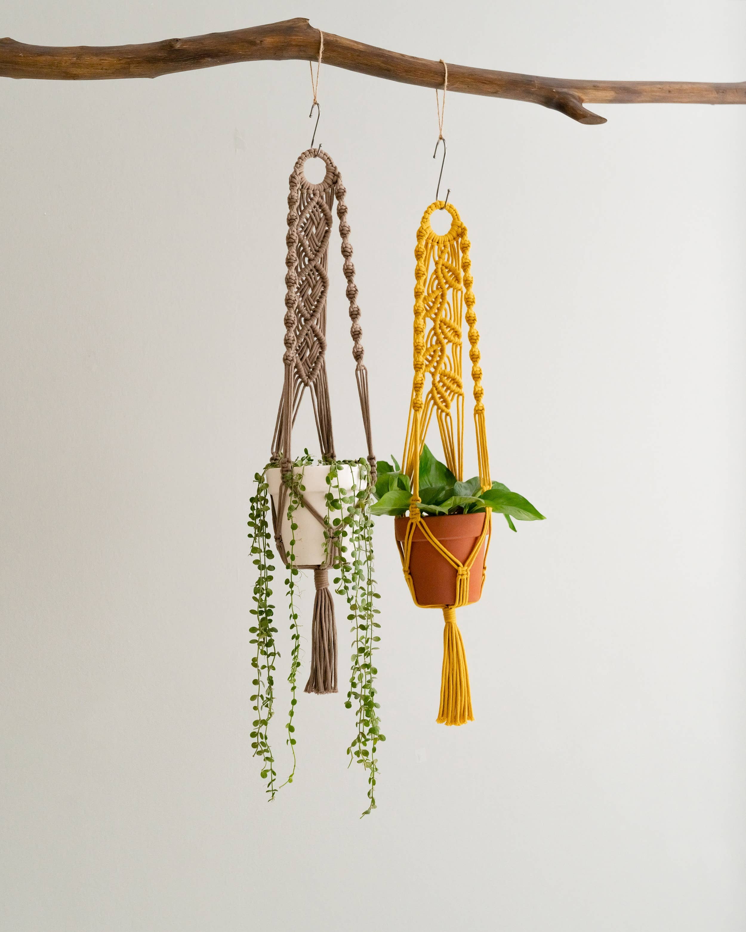 BeanDaikon – wholesale Hanging planter – Macrame Plant Hanger I717