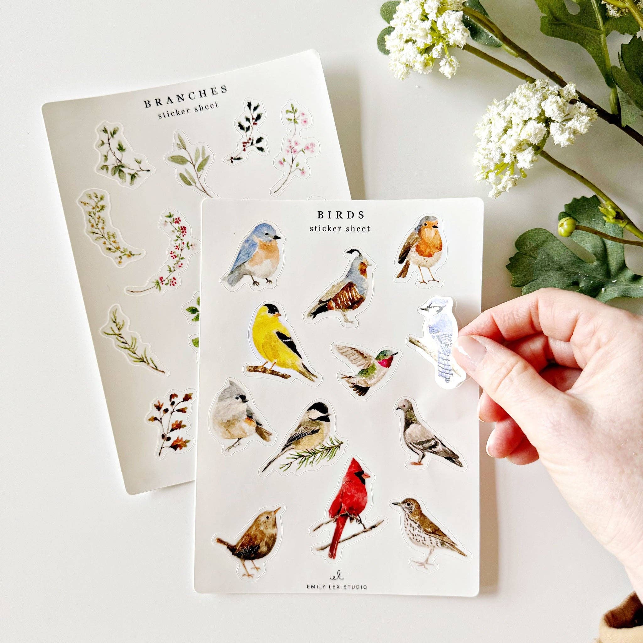 emily lex studio - Wholesale Sticker - birds sticker sheets3