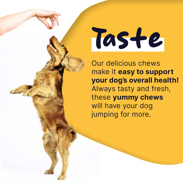 Chew + Heal - Wholesale Pet Supplement - Dog - Healthy Pup Multi Max All-In-One Dog Multivitamin, 120 count