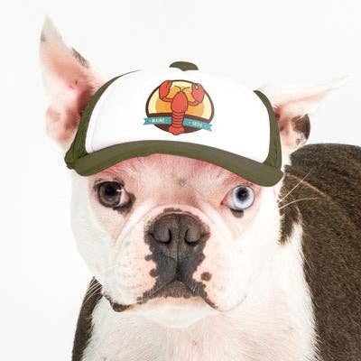 PupLid - Wholesale Pet Hat - Dog - Lobster Standard or Namedrop | Trucker Hat for Dogs3
