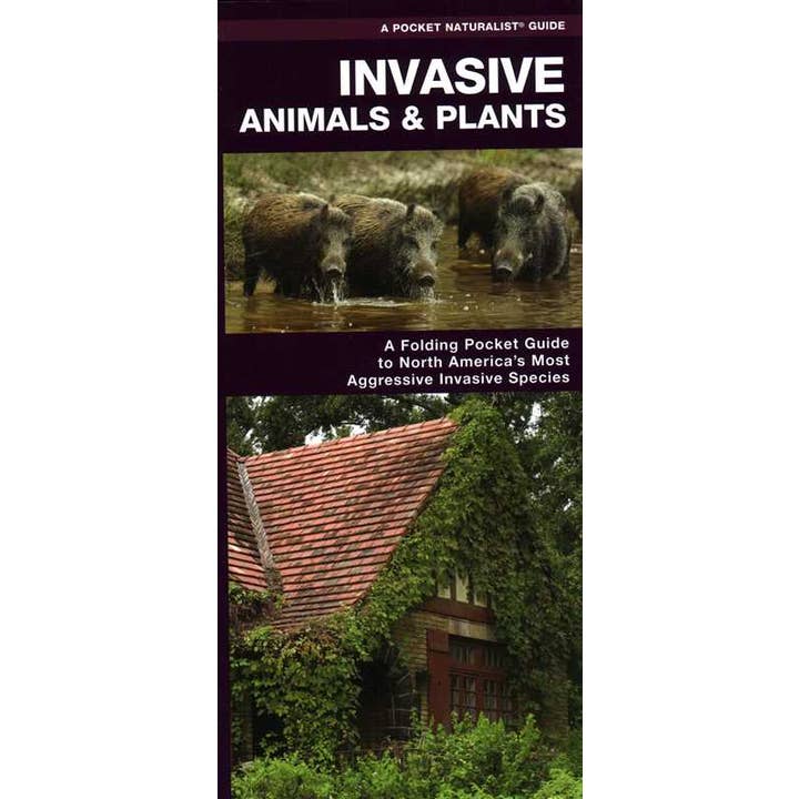 Simon & Schuster - Wholesale Nature & Outdoors - Invasive Animals & Plants by James Kavanagh