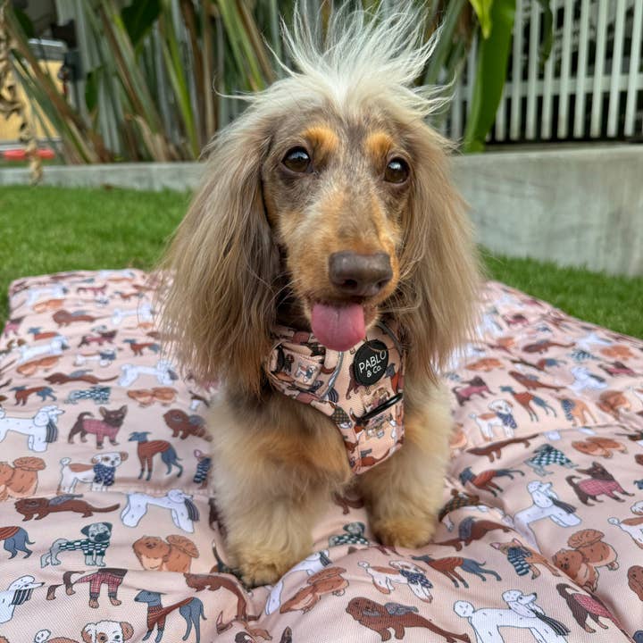 Pablo & Co. Boutique - Wholesale Pet mat – Dog - Deluxe Travel Dog Mat: Winter Pooches / Kensington3