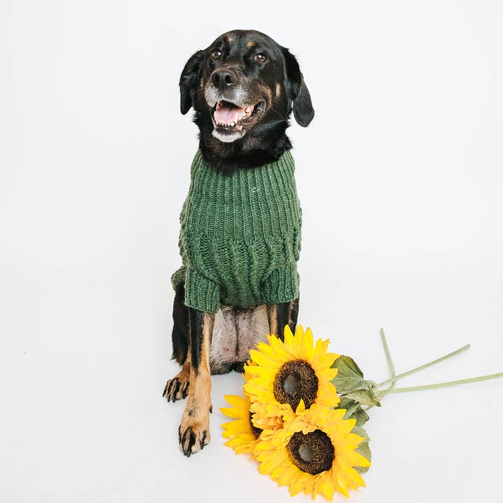 SASSY WOOF - Wholesale Pet Sweater - Dog - Pet Cable Knit Sweater - Dark Green8