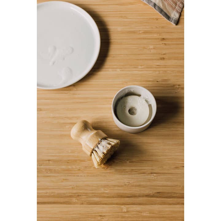 Danica Heirloom - Wholesale Cleaning Brush - Dish Brush and Soap Set of 3