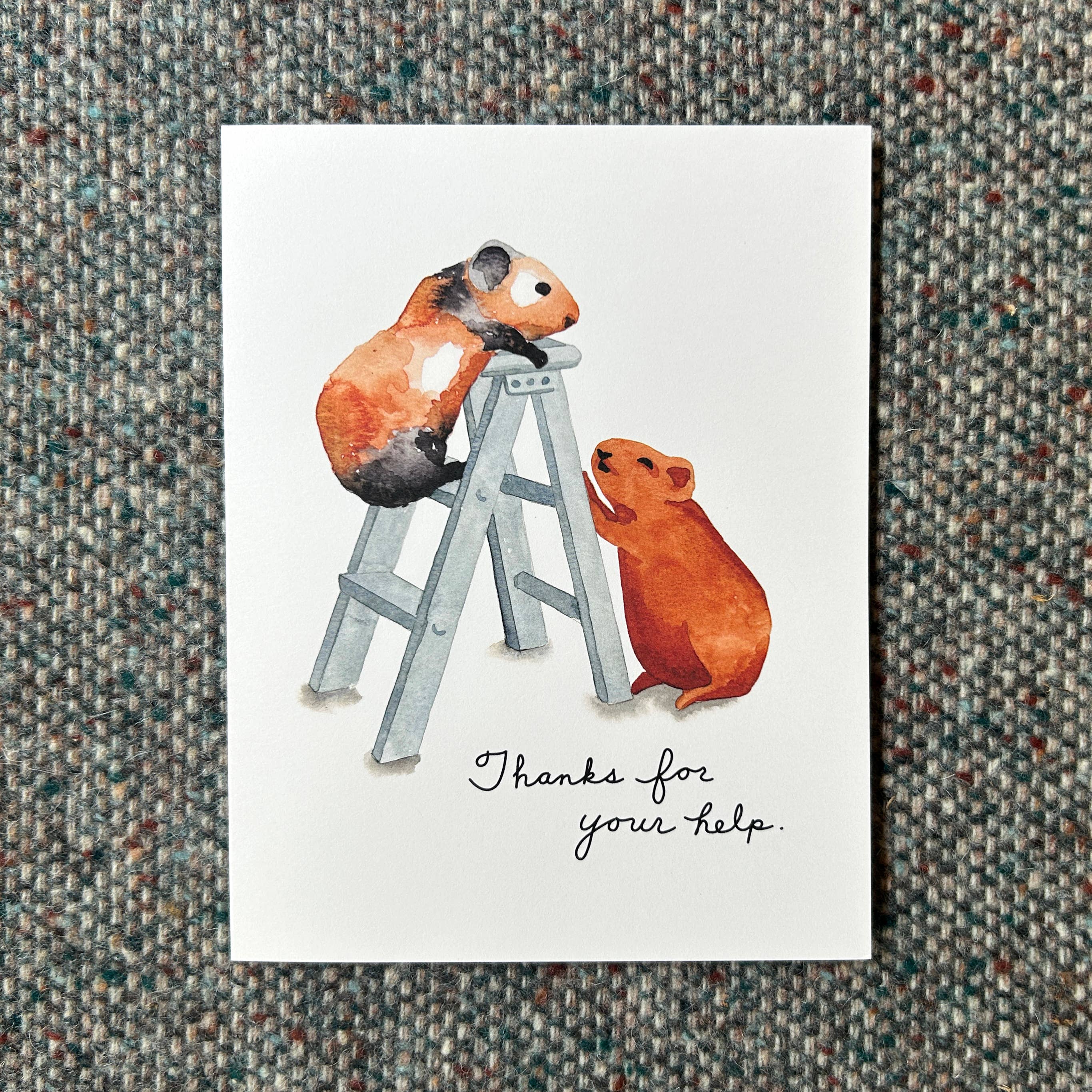 Fresh Fish - Vente Cartes de remerciements - Carte de vœux John Dory - Cochons d'Inde et échelle - Merci3